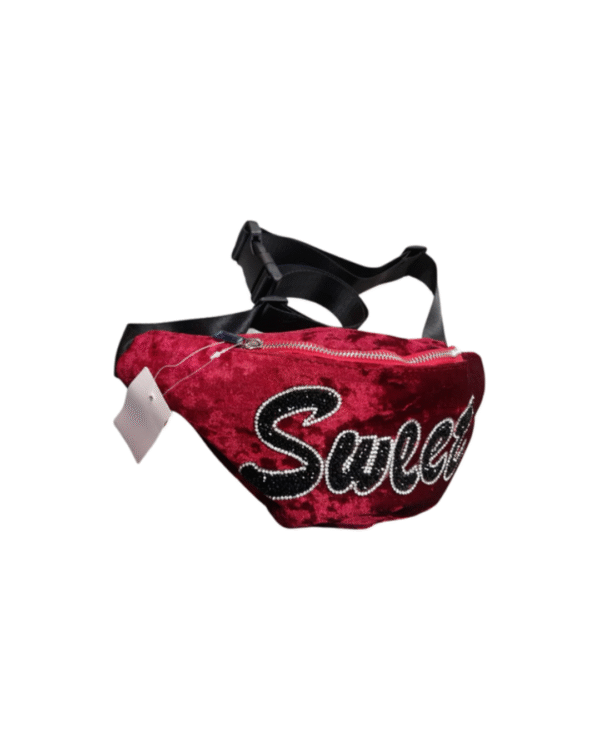 Unisex Waist Bag - Image 2